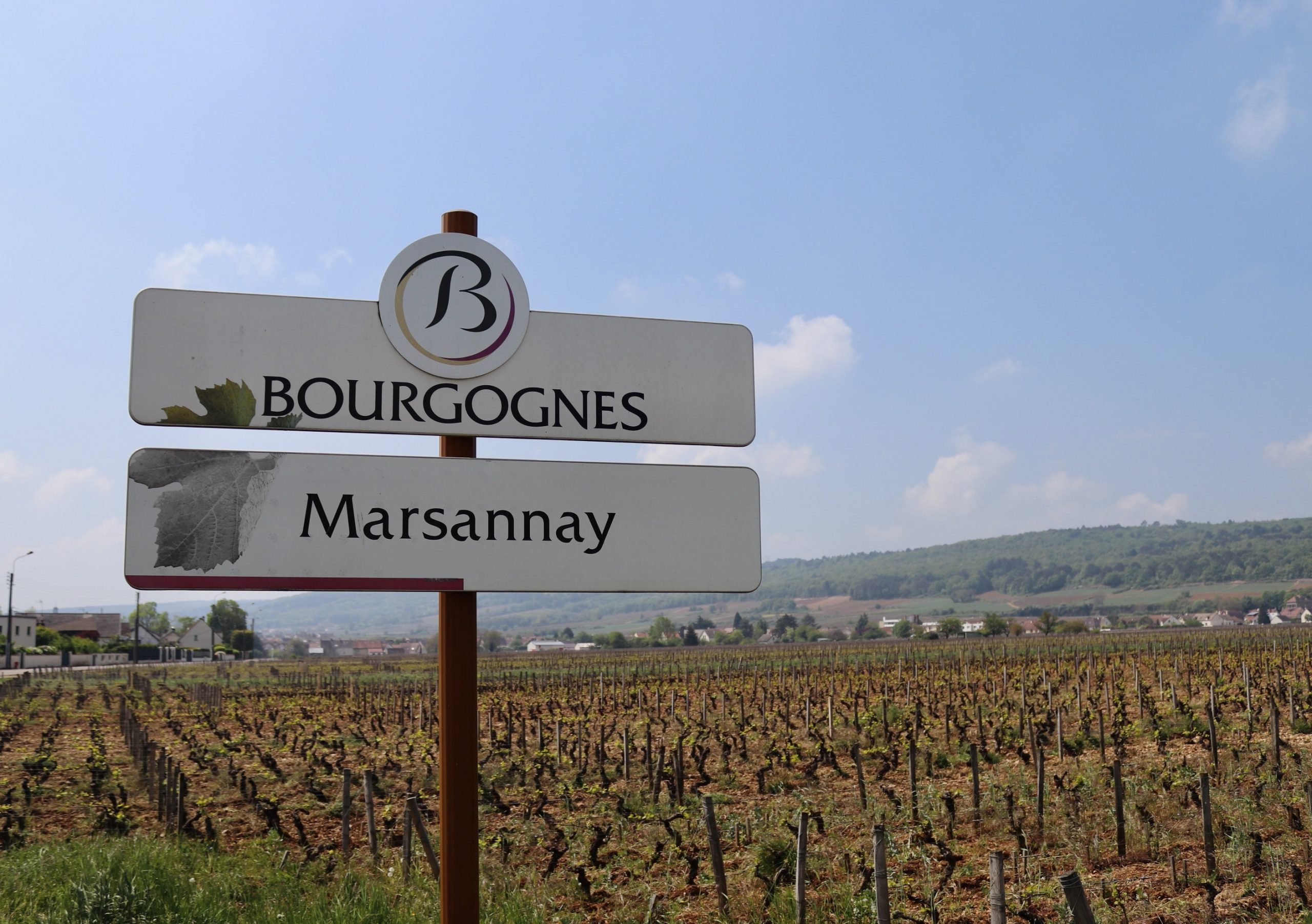 L’AOC Marsannay